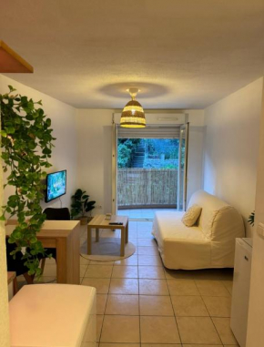 Studio confortable avec vue